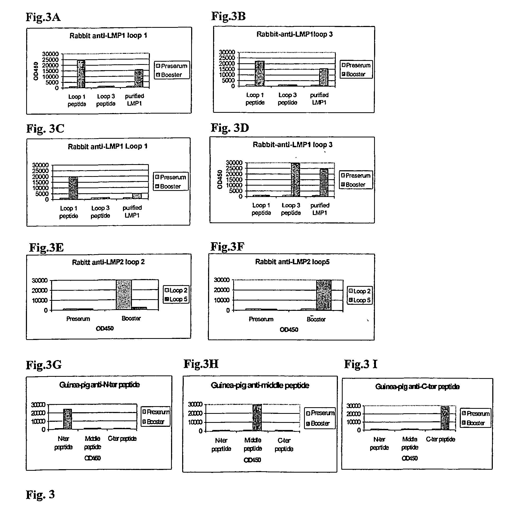 Method for the identification of extracellular domains of Epstein Barr Virus (EBV) tumor-associated latent membrane proteins and for the selection of antibody reagents reactive therewith