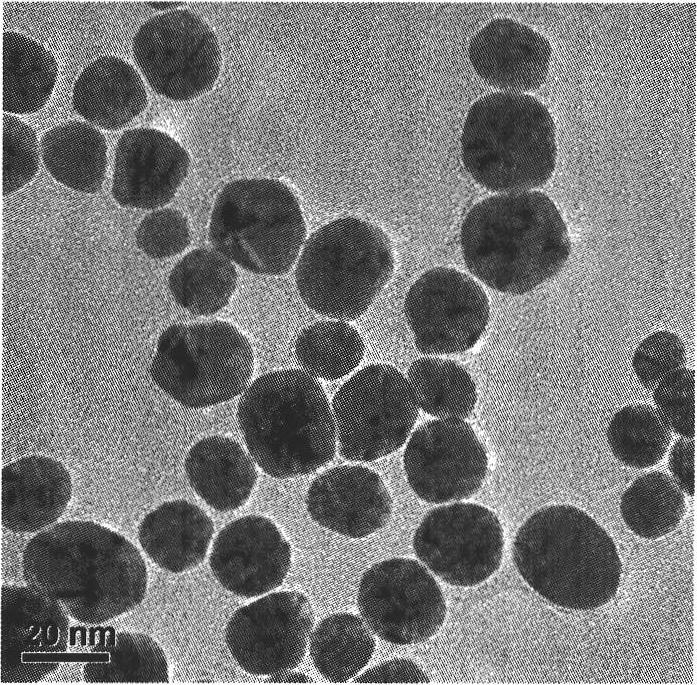 Method for preparing flower-like nanometer gold