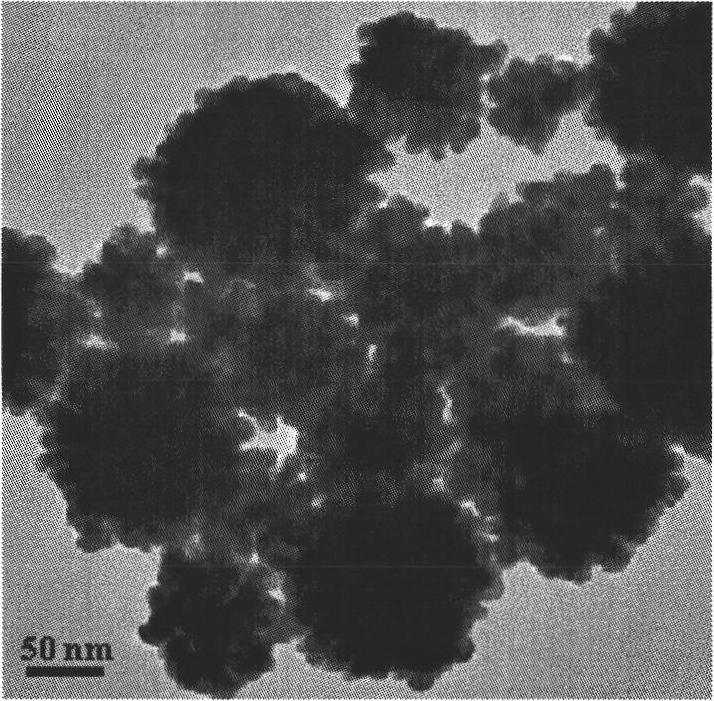 Method for preparing flower-like nanometer gold