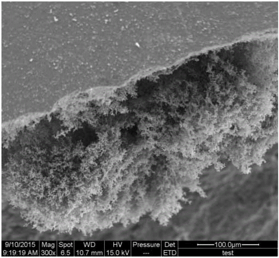 Preparation method of ceramic material capable of generating carbon nanowires in situ