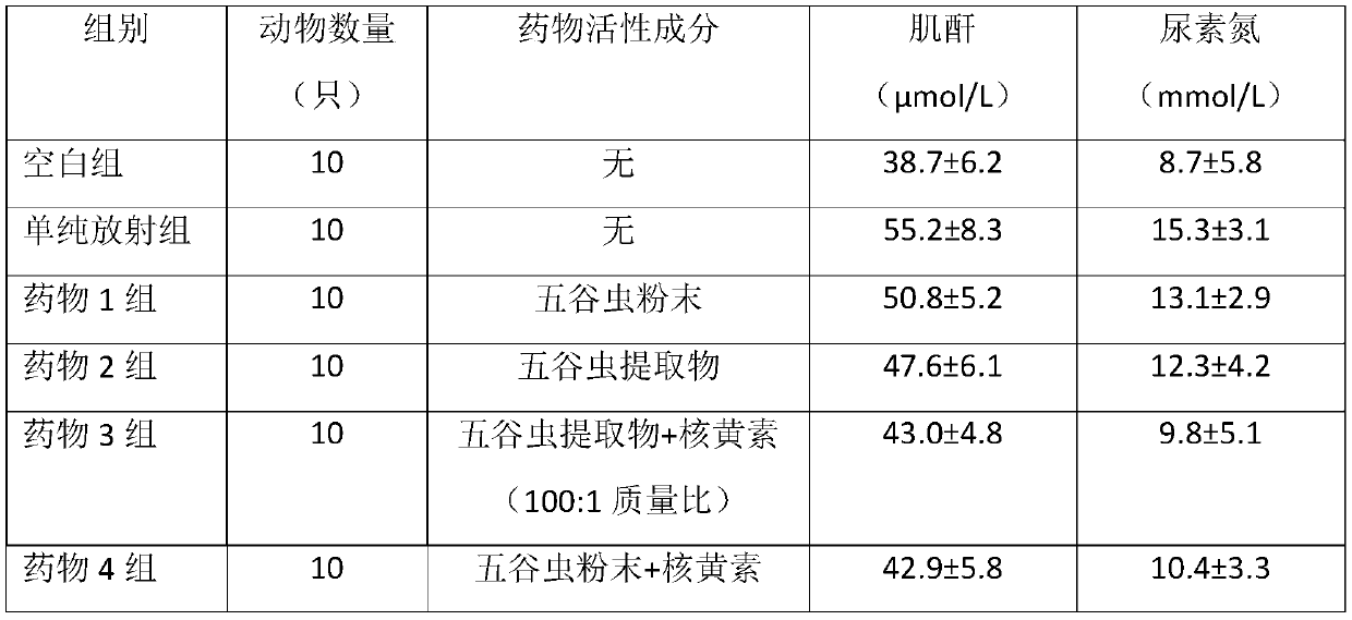 Application of maggot or extract thereof in preparation of medicine for reducing renal toxicity