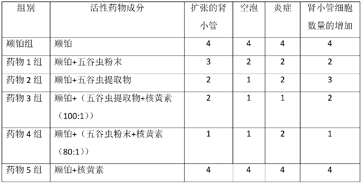 Application of maggot or extract thereof in preparation of medicine for reducing renal toxicity