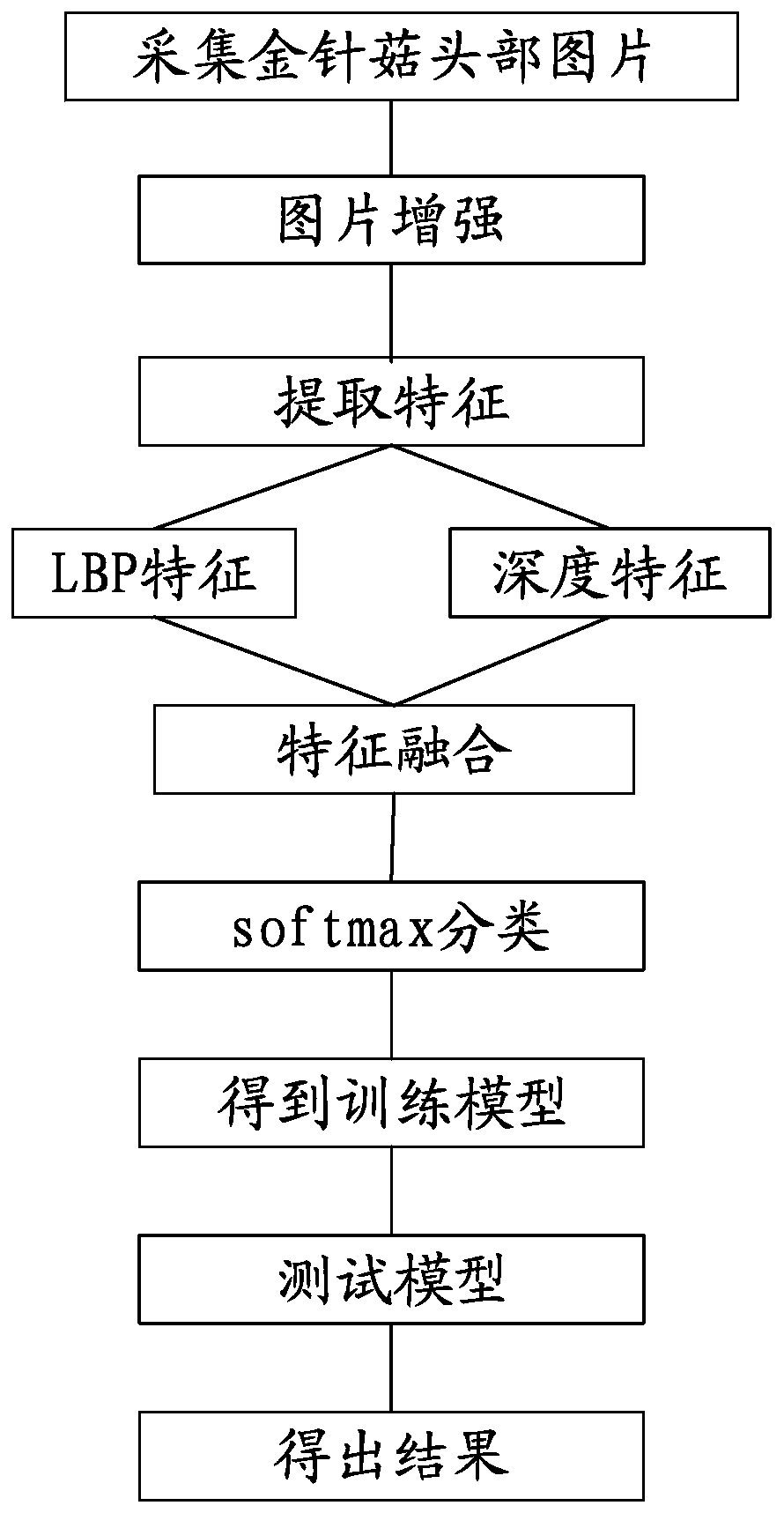 A flammulina velutipes head sorting recognition method based on LBP features and deep learning