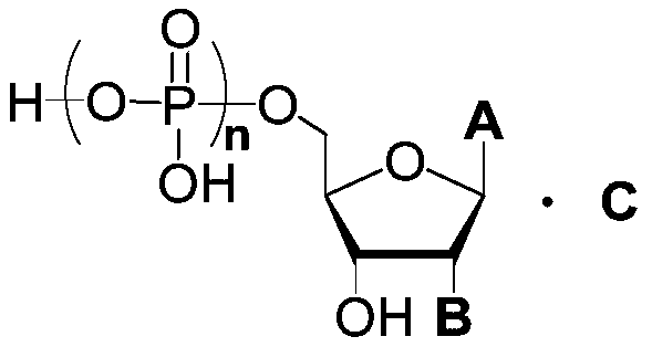 Nucleoside triphosphate artificial metalloenzyme as well as preparation and application thereof