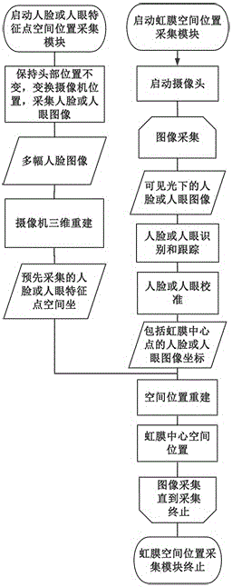 Method for identifying and tracking human eye and apparatus for applying same to naked eye 3D display