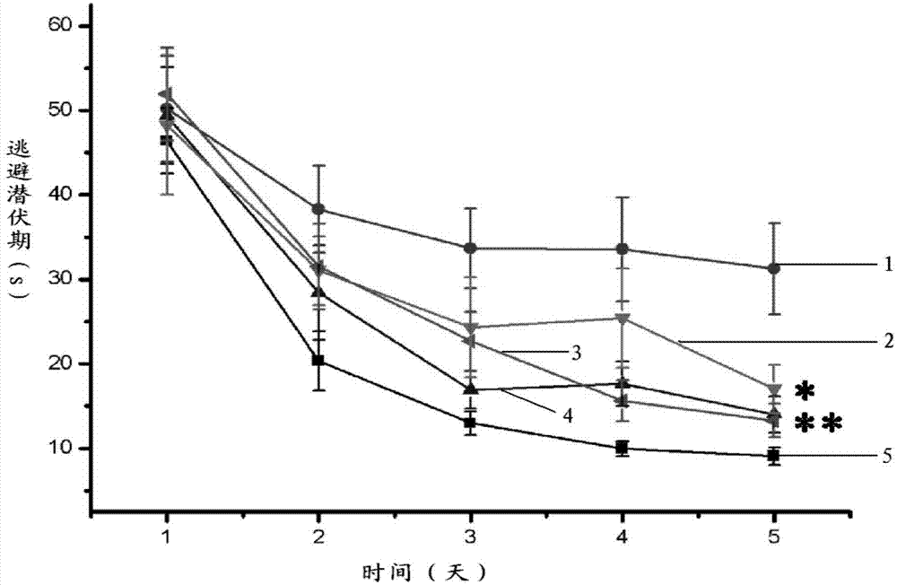 Application of notoginsenoside R1