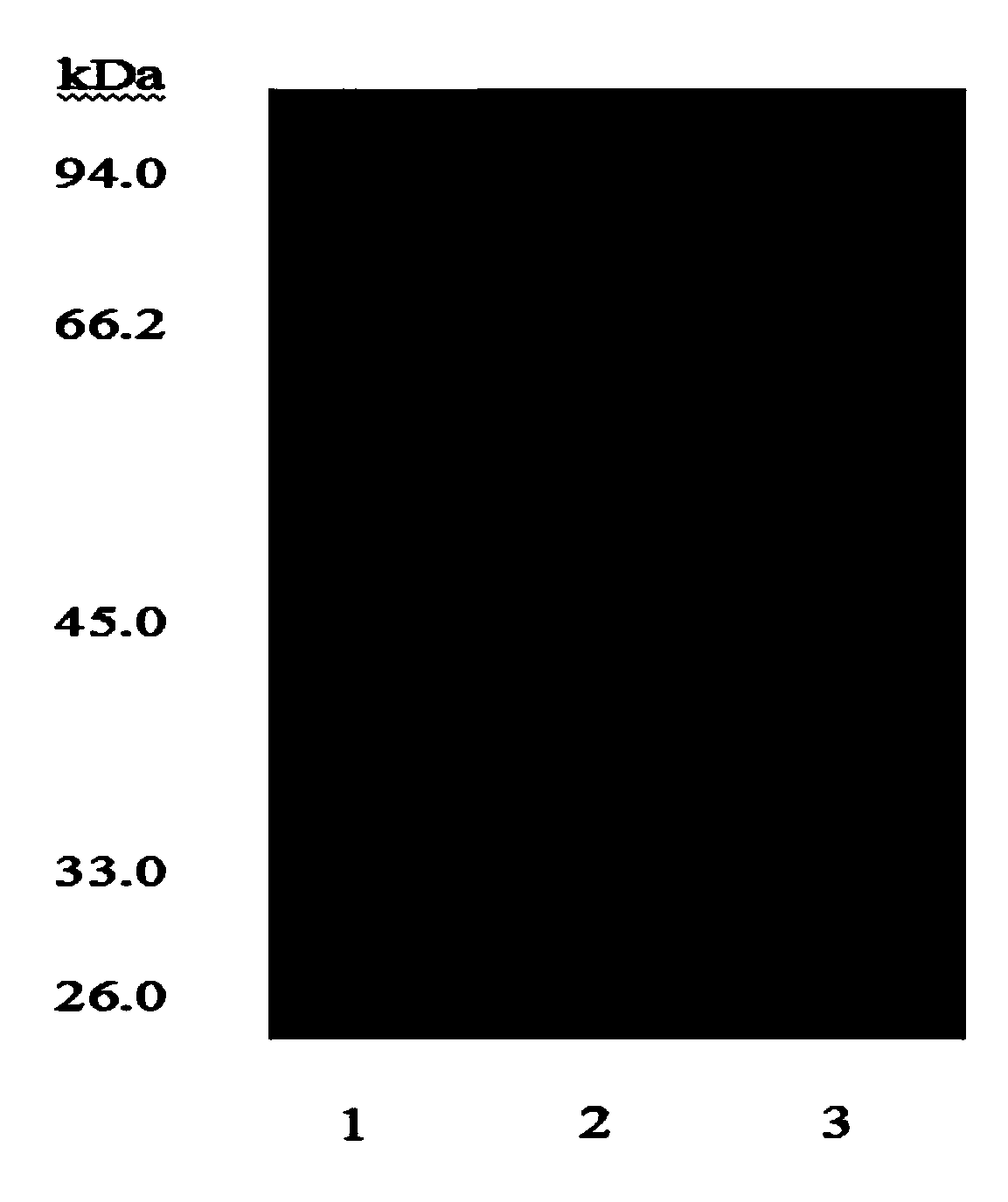 Method for extracting and purifying lignin peroxidase by using reverse micelles