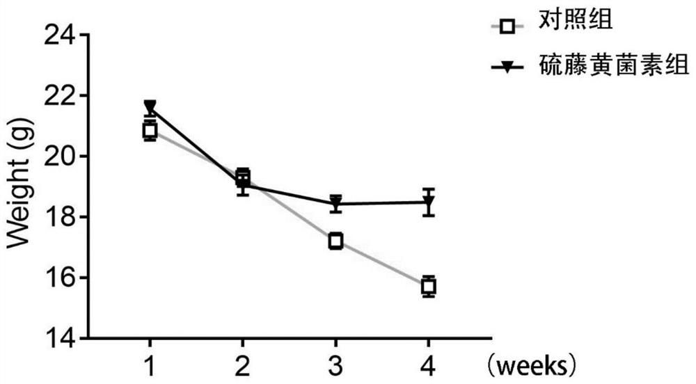 Application of thiolutin in the protection of nonalcoholic steatohepatitis