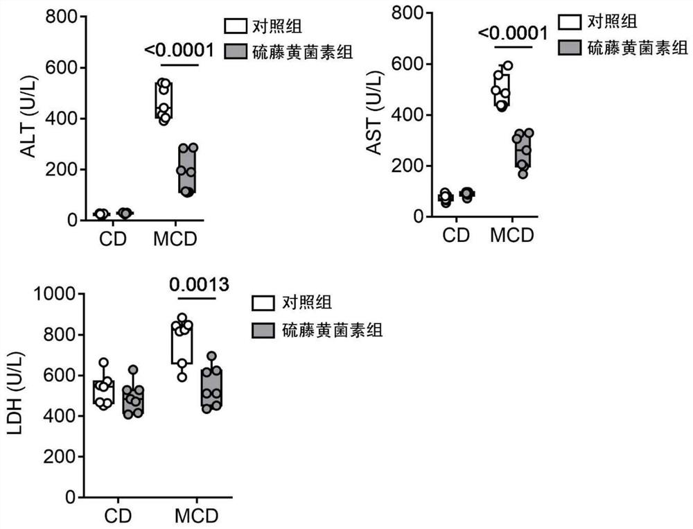 Application of thiolutin in the protection of nonalcoholic steatohepatitis