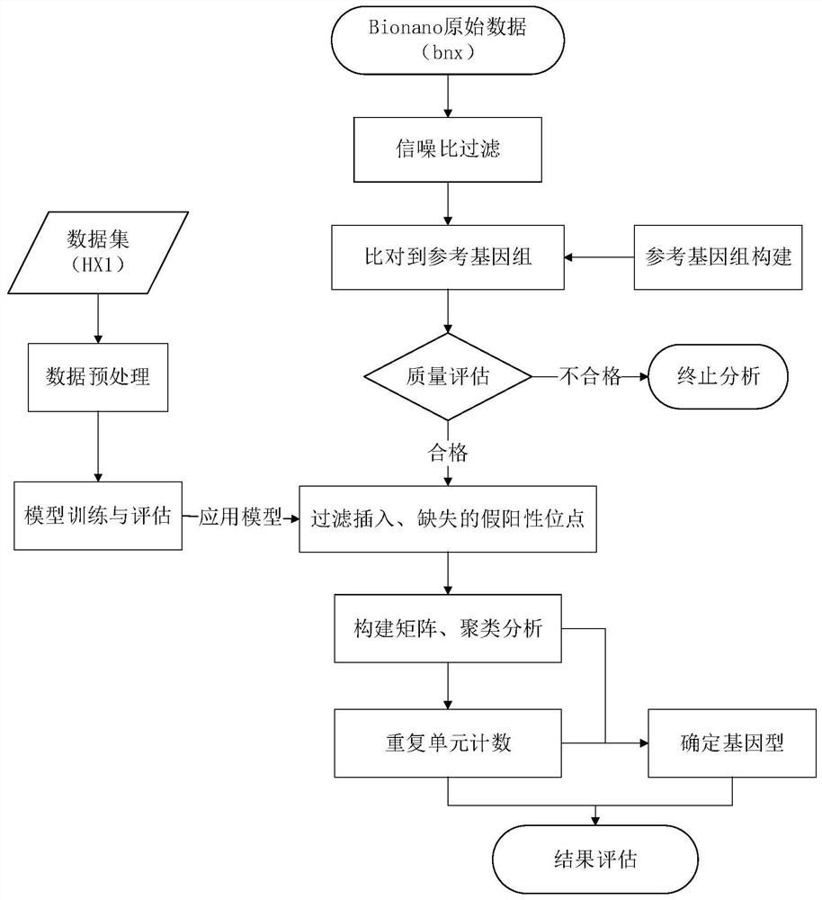 A method for detecting long tandem repeats based on the bionano platform