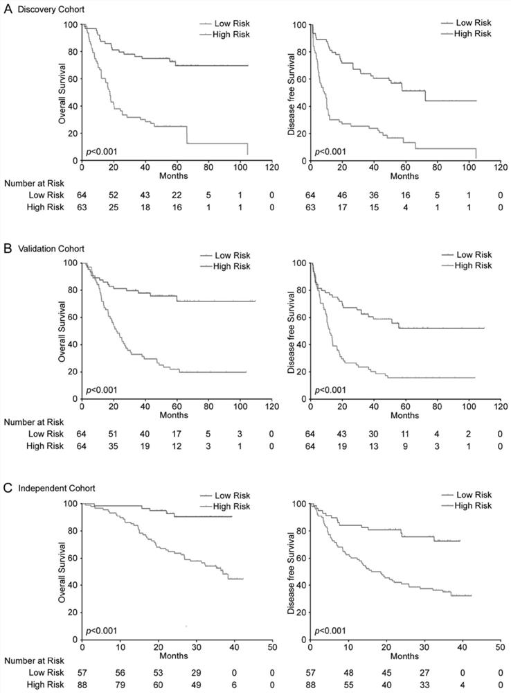 4-lncRNA molecular labeling kit for liver cancer prognosis assessment