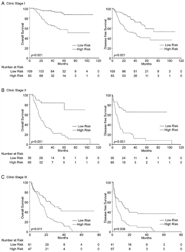 4-lncRNA molecular labeling kit for liver cancer prognosis assessment