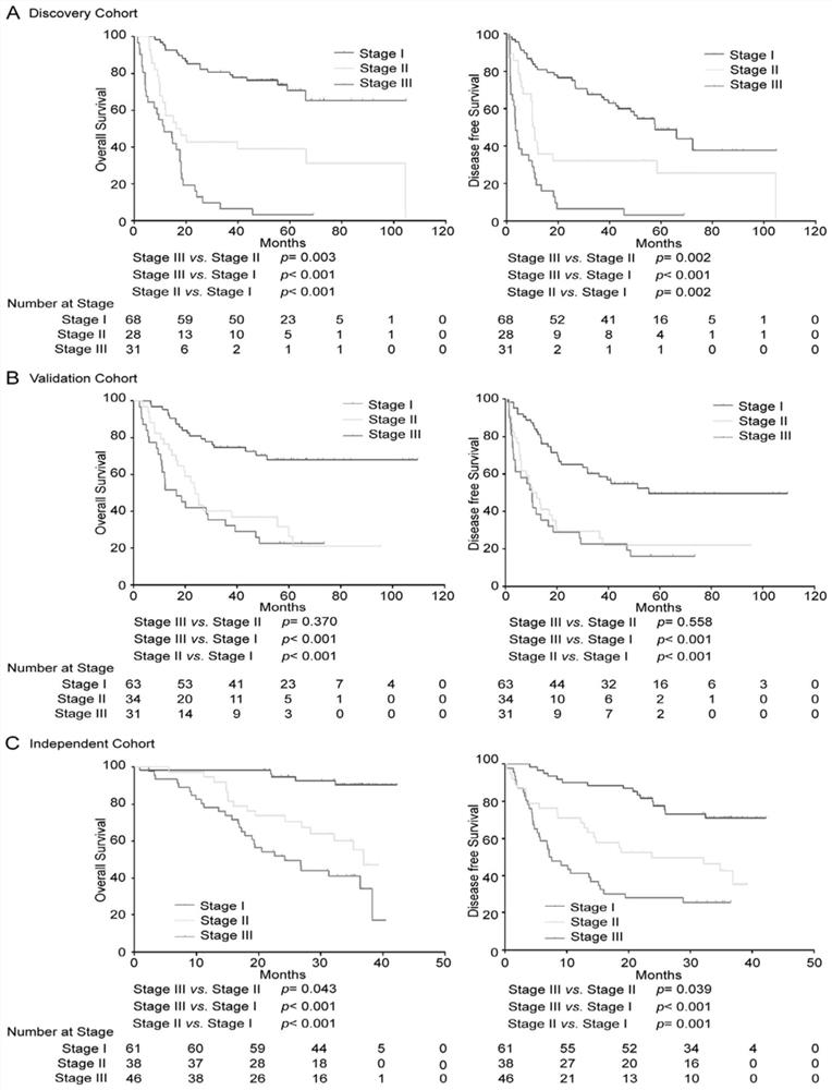 4-lncRNA molecular labeling kit for liver cancer prognosis assessment