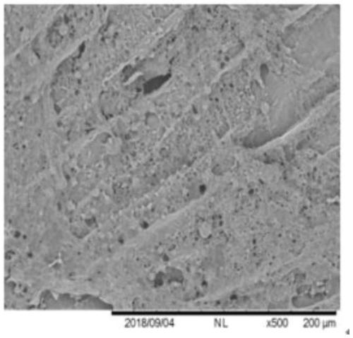 Method for preparing calcium lactate through immobilized fermentation of eggshell powder