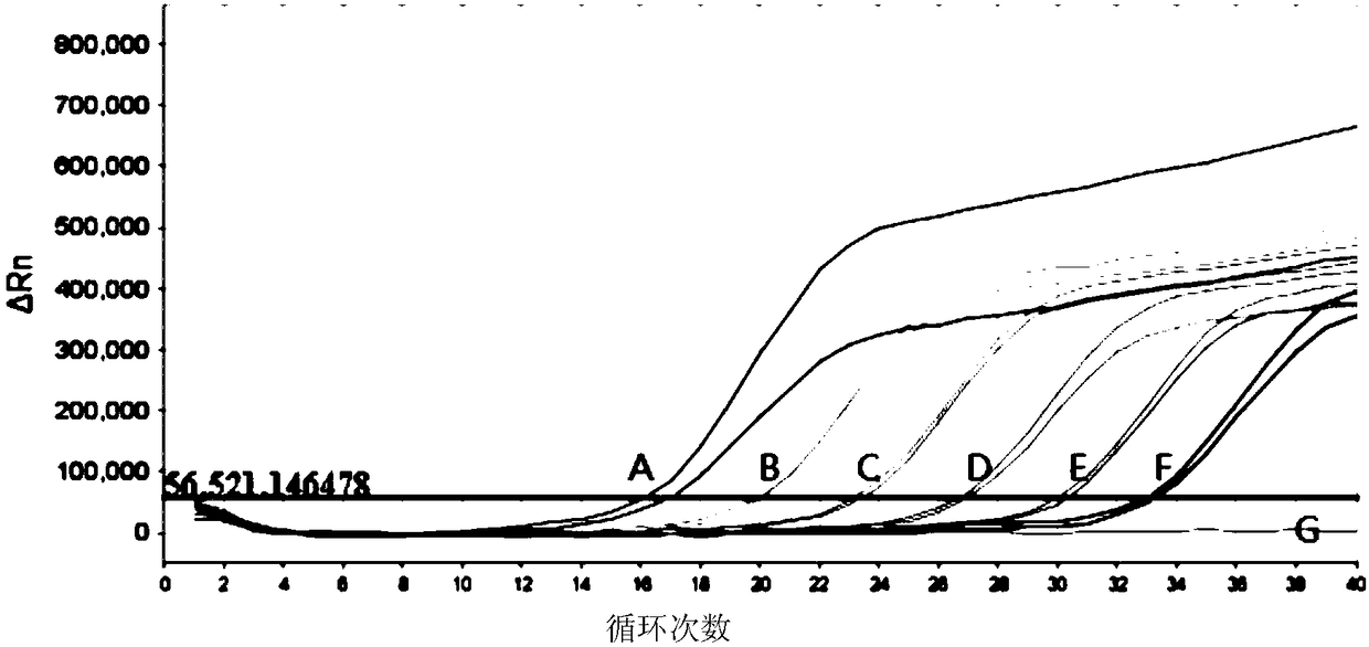 Primers, probe, kit for detection of CHO nucleic acid residue and detection method