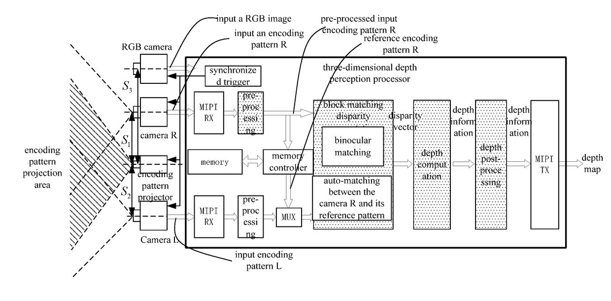 Three-dimensional depth perception apparatus and method