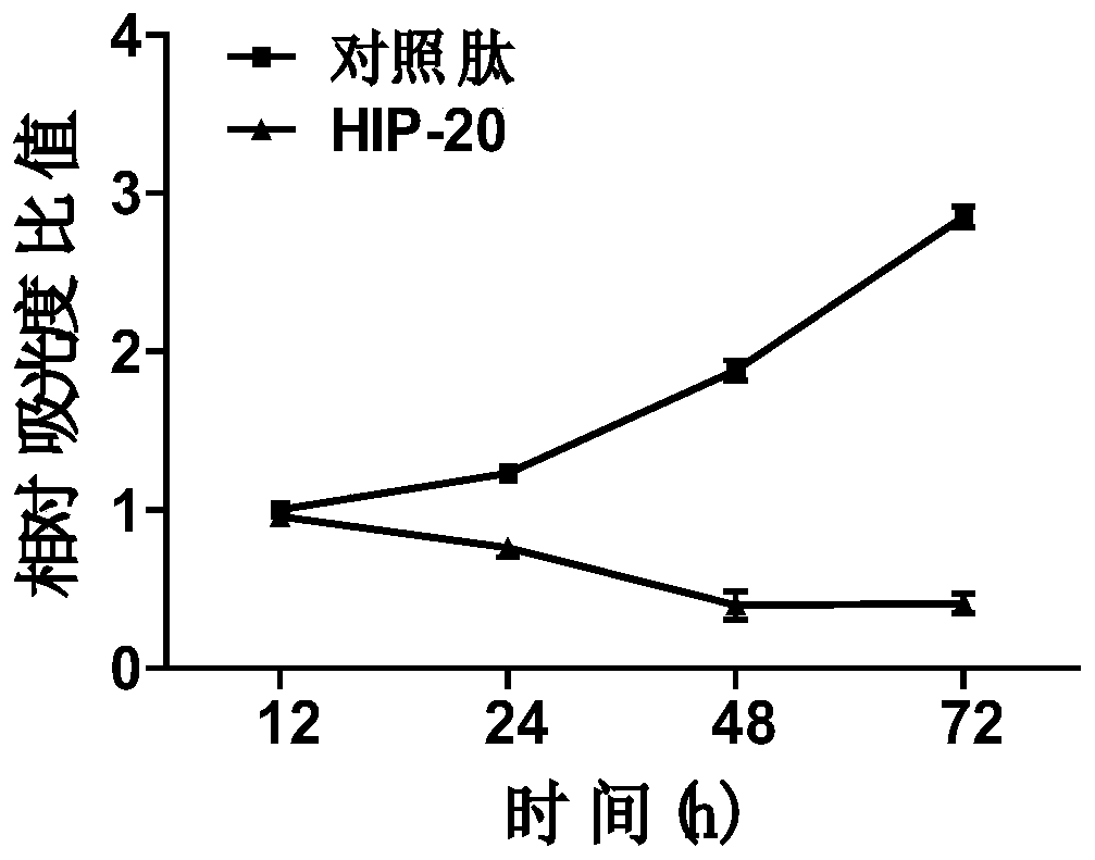 A kind of polypeptide hip-20 that can antagonize the RNA binding activity of hnrnpu protein and its application