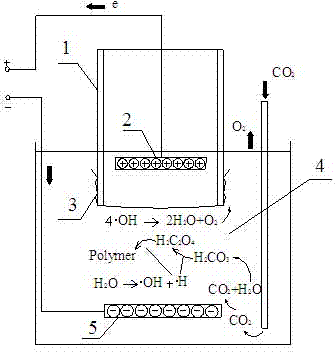 Method for electric field-induced conversion of water and CO2 to organic polymer