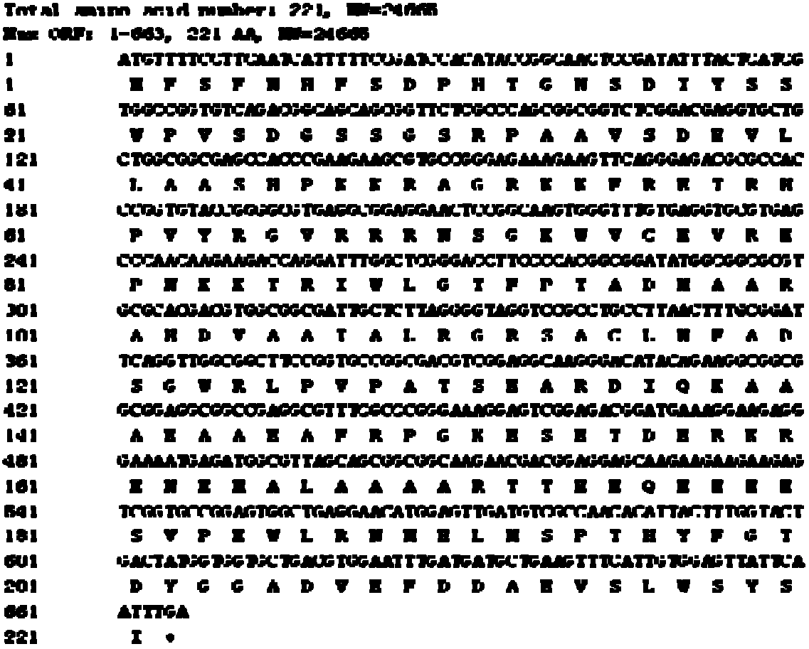 CBF transcription factor capable of regulating plant stress resistance, and coded gene and application thereof