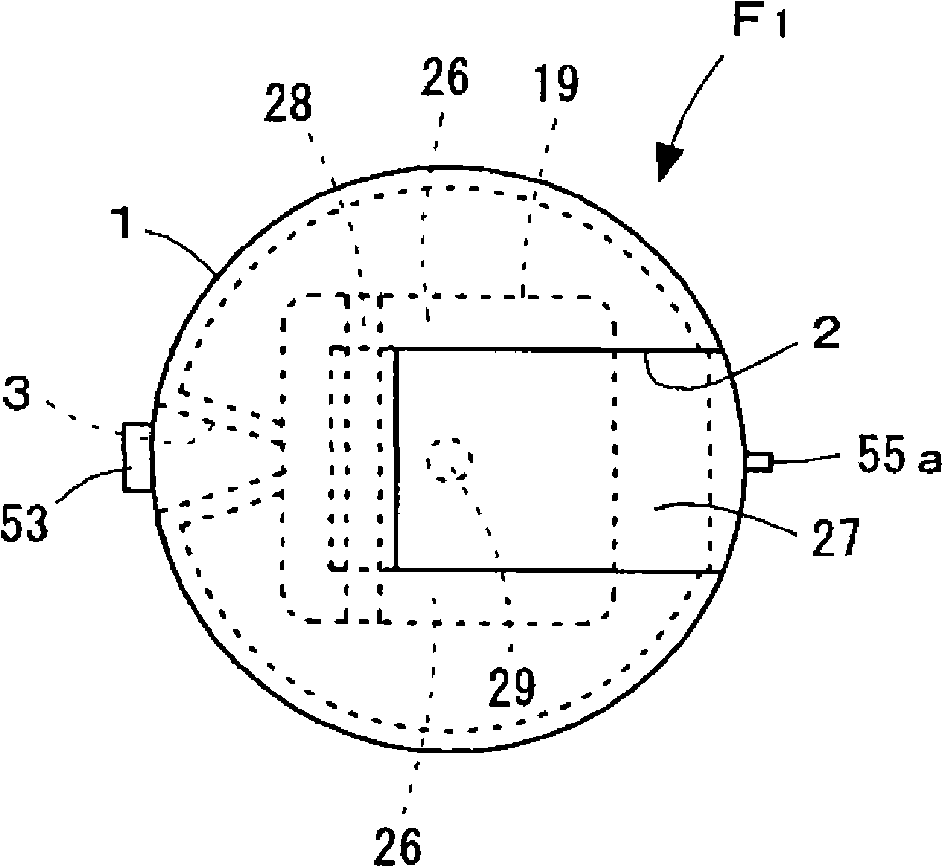 Fire extinguishing gas spray device