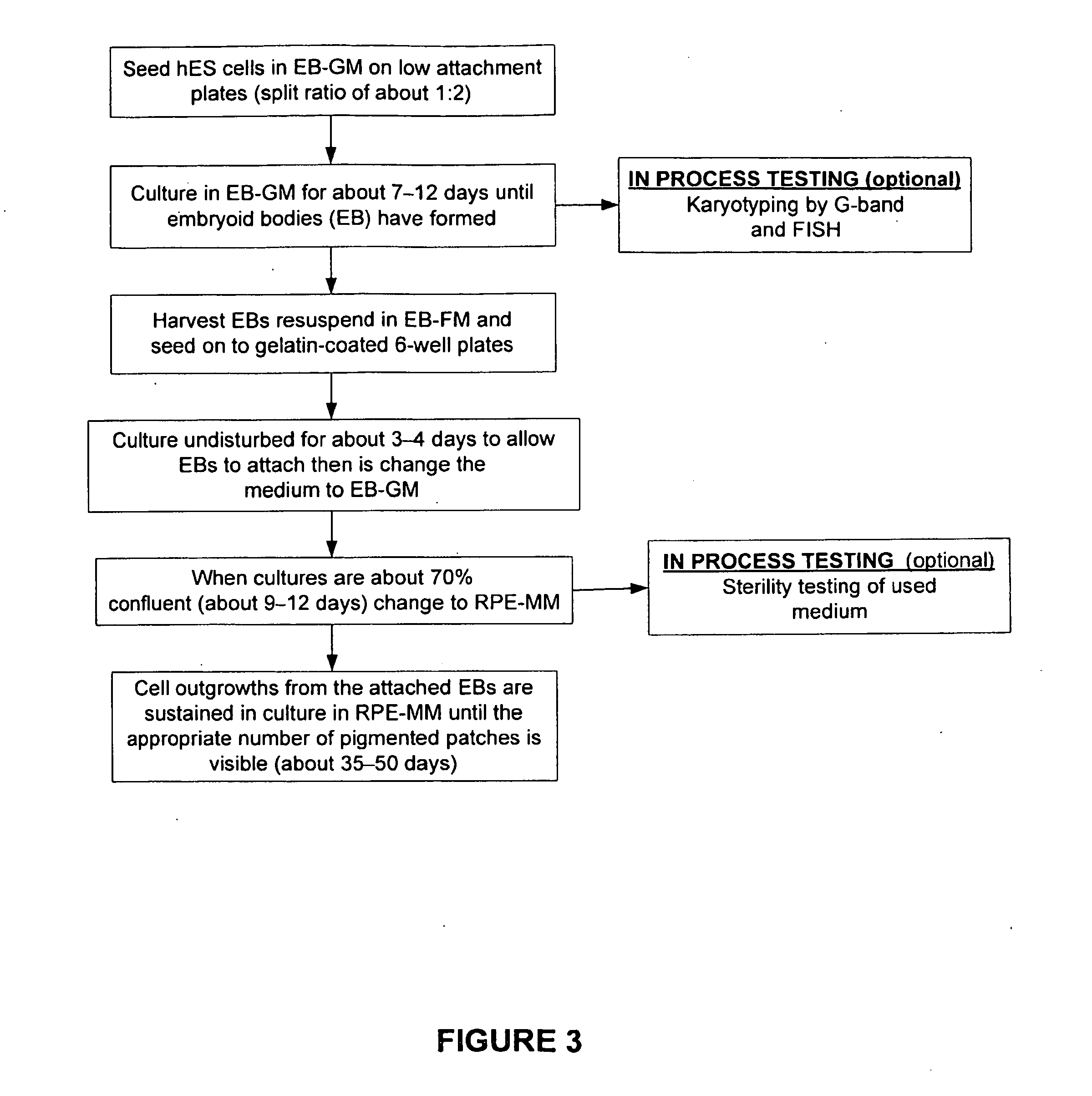 Methods of producing human rpe cells and pharmaceutical preparations of human rpe cells