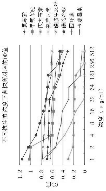 Method for detecting bacterial drug resistance in aquaculture