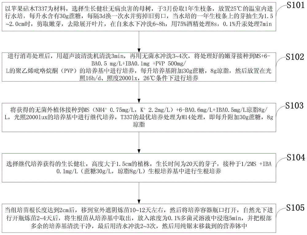 A method for rapid propagation of apple rootstock t337