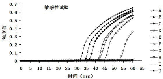 Streptococcus agalactiae loop-mediated isothermal amplification kit and application thereof