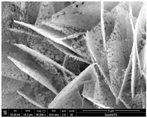 Preparing method for carbon cloth load Ni-S-Se nanosheet array