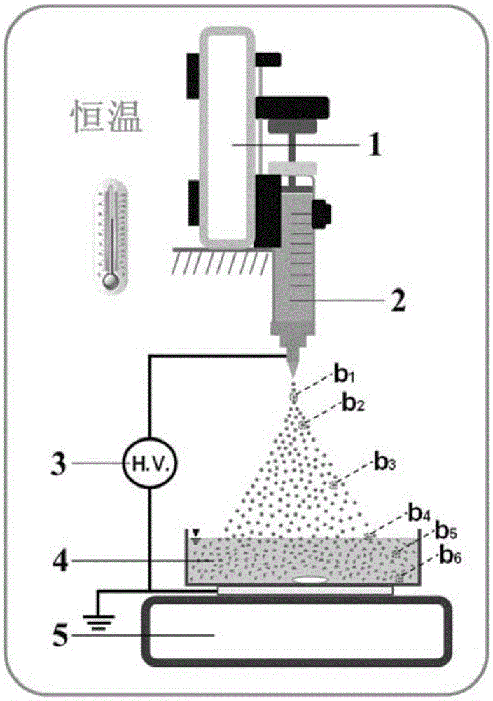 Chitosan microparticles with shapes and sizes identical to lurid cells and preparation method of chitosan microparticles