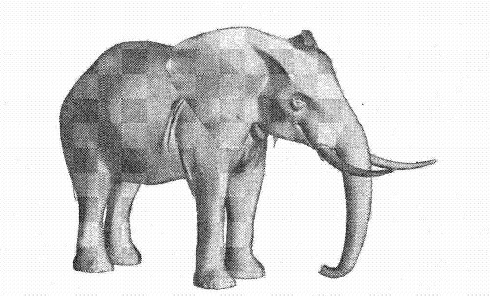 Non-photorealistic rendering method for three-dimensional network model with stylized typical lines