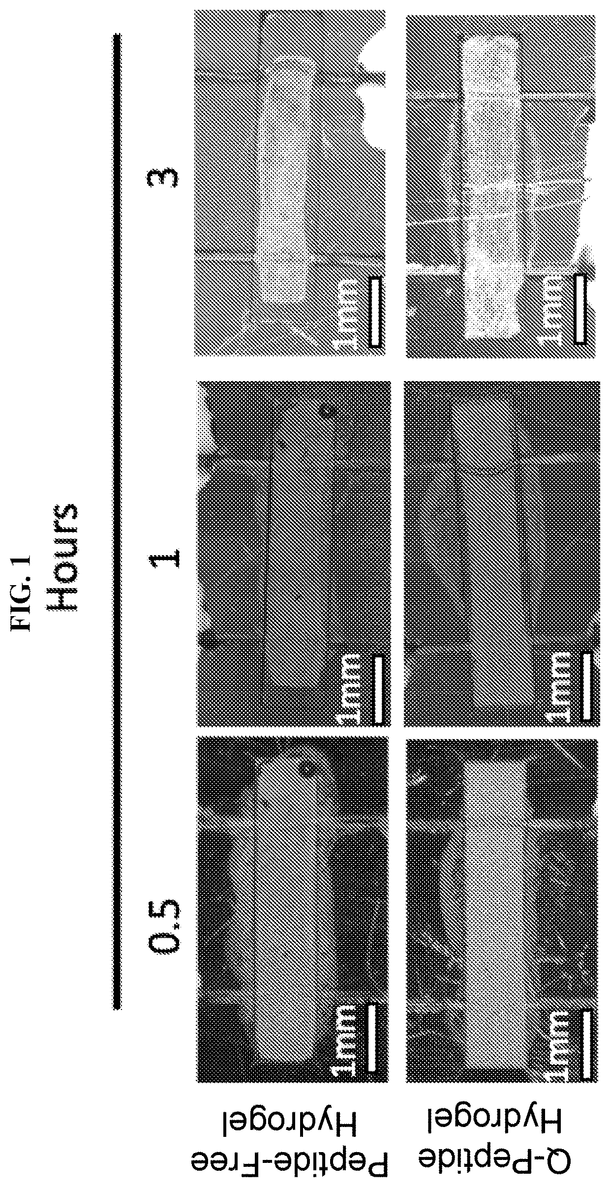 Compositions and methods of use for treatment or improvement of the condition and appearance of skin