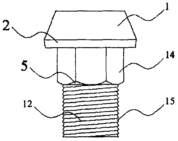 Split-type screw cap