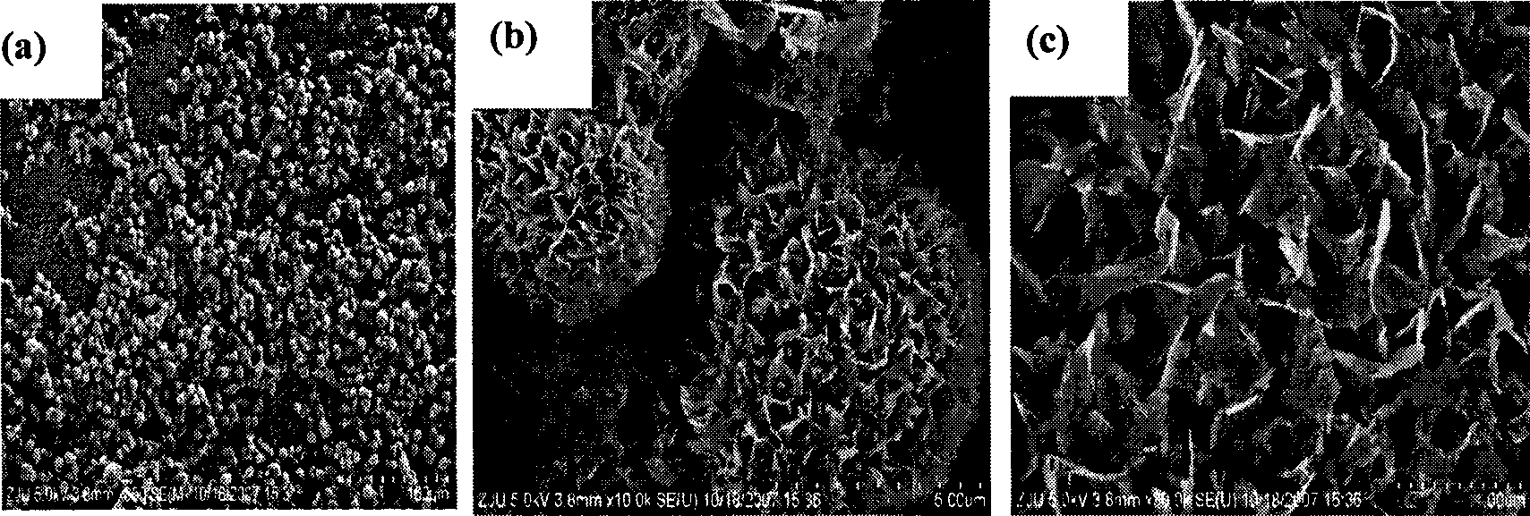 Calcium orthophosphate porous particle material with biological activity as well as preparation method and use thereof