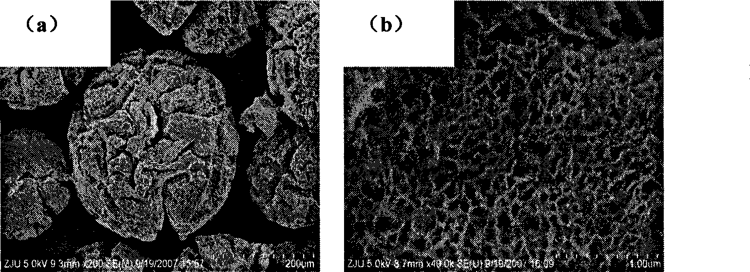 Calcium orthophosphate porous particle material with biological activity as well as preparation method and use thereof