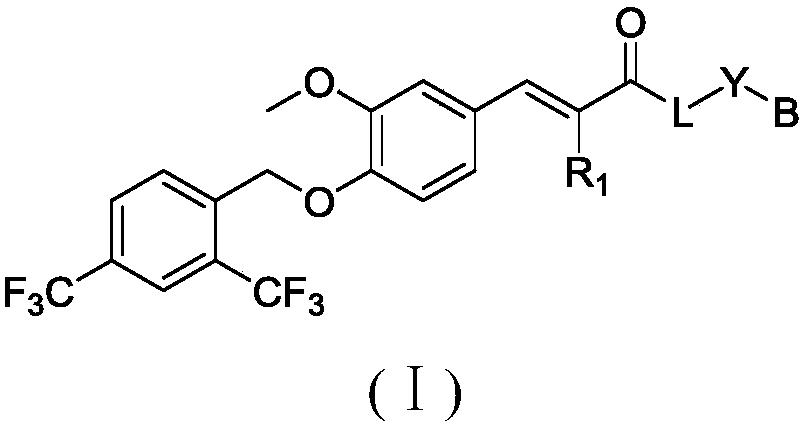 Compound for targeted ubiquitination degradation of ERRalpha protein and pharmaceutical composition and application thereof