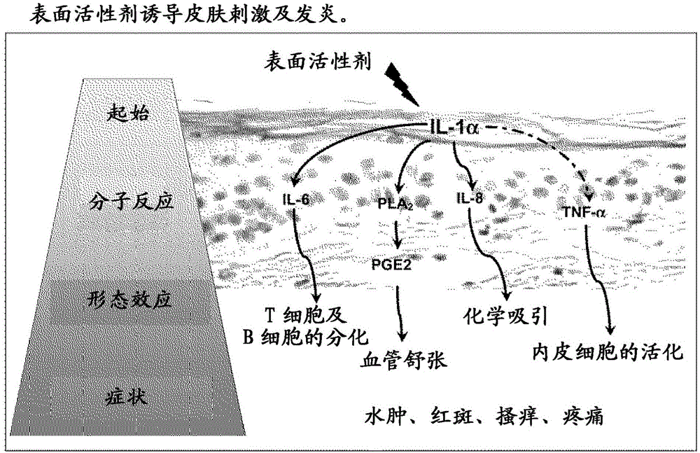 Bioactive botanical compositions and uses thereof