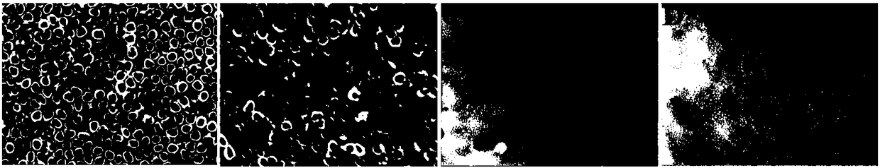 Preparation method of good-biocompatibility, enzyme-responsive and antibacterial titanium material