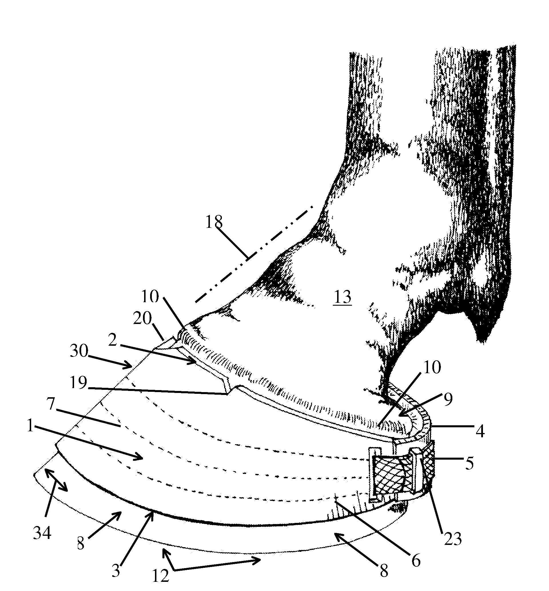 Hoof balancer and limb alignment tool