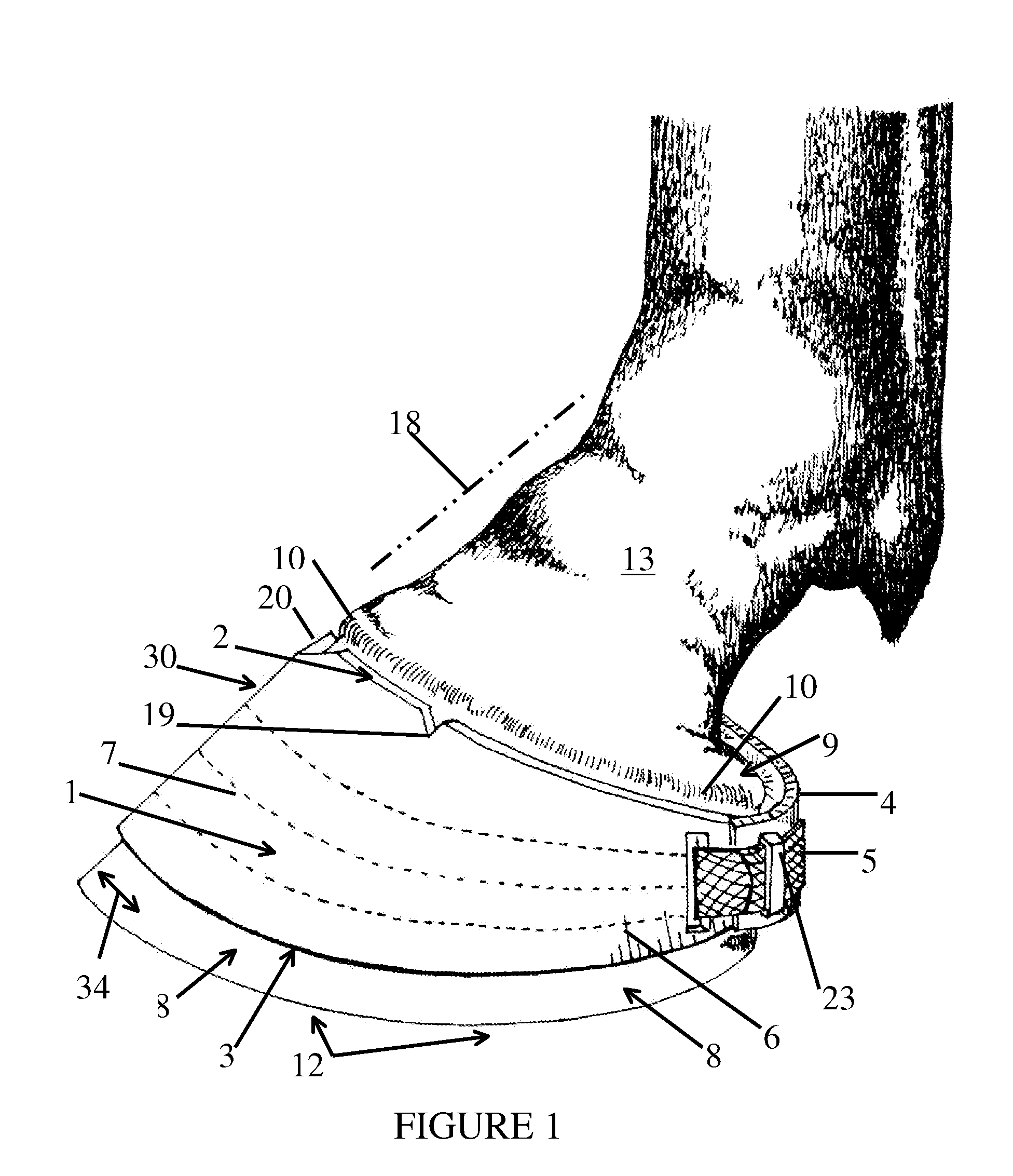 Hoof balancer and limb alignment tool