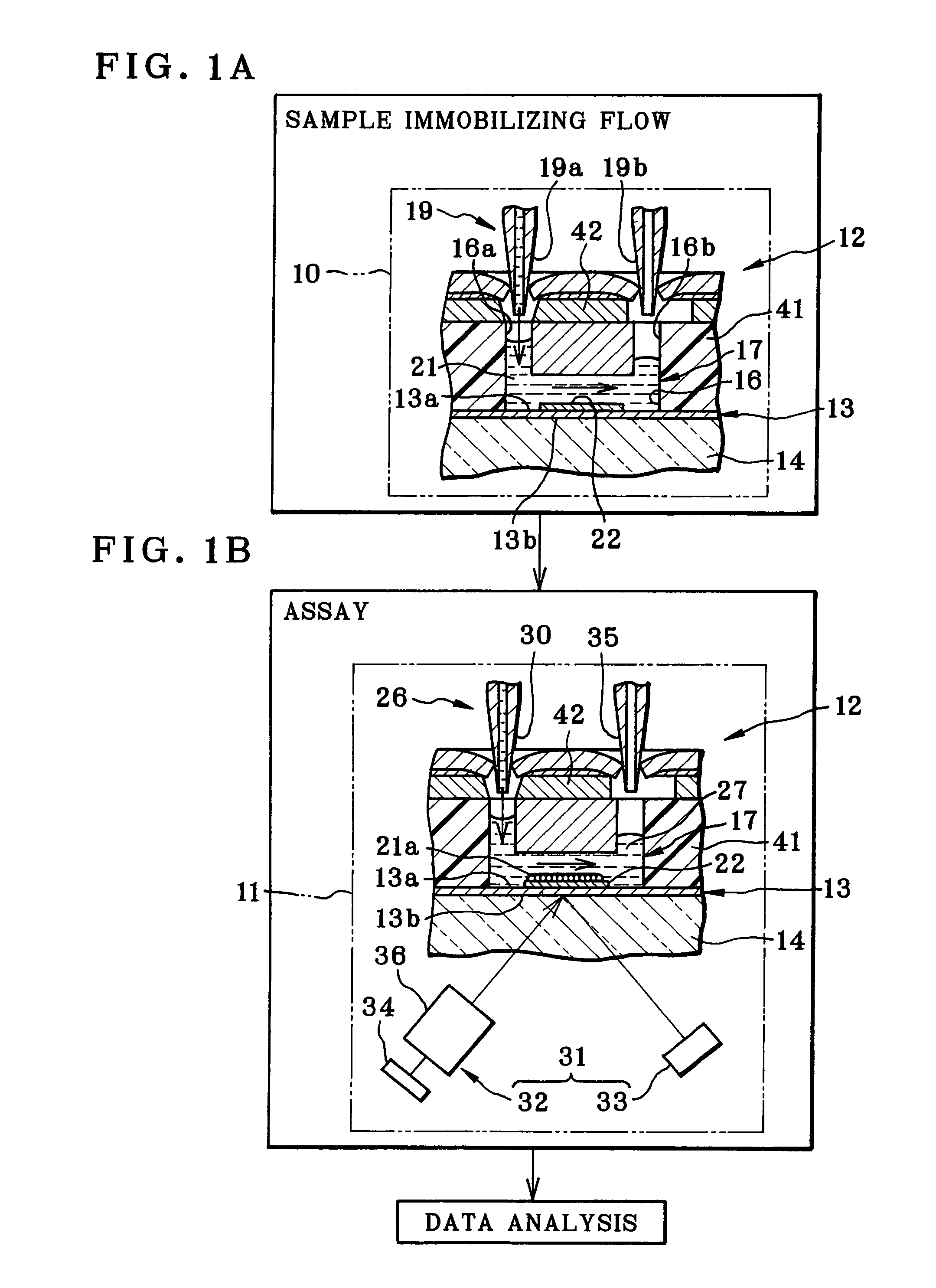 Fluid dispenser for fluid in assay