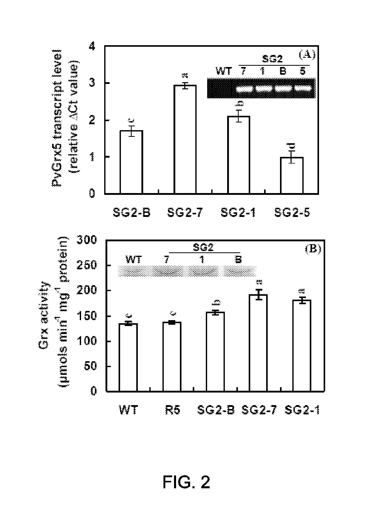 Increased stress tolerance, yield, and quality via glutaredoxin overexpression