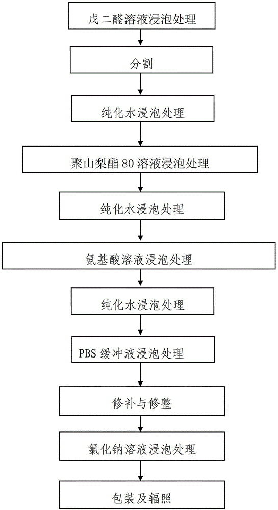 A method for production of a human body biological dressing for covering burn wounds