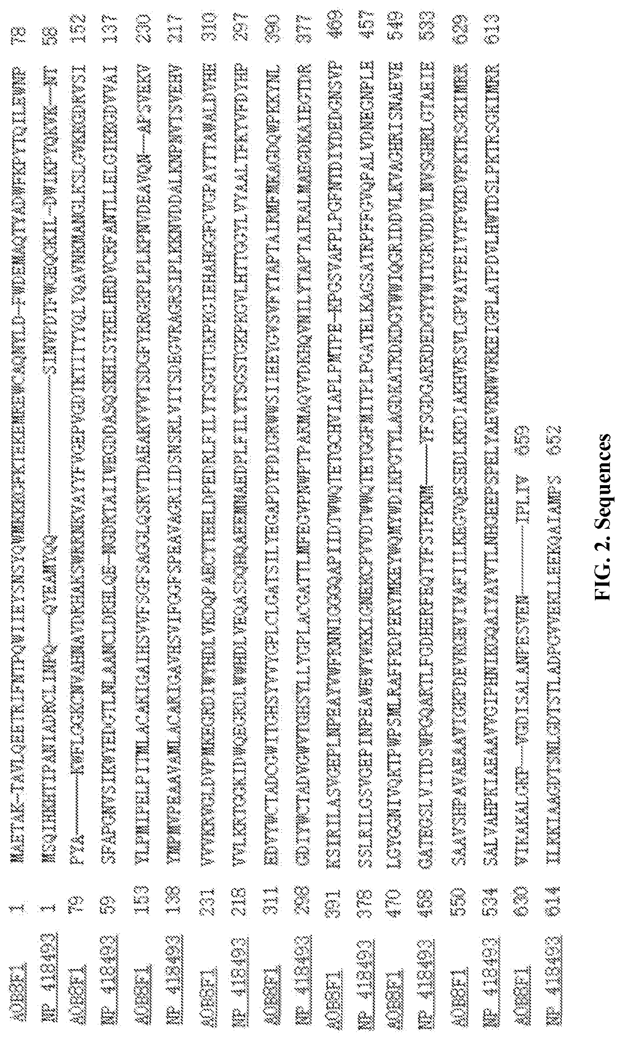 Acetyl-coa-derived biosynthesis