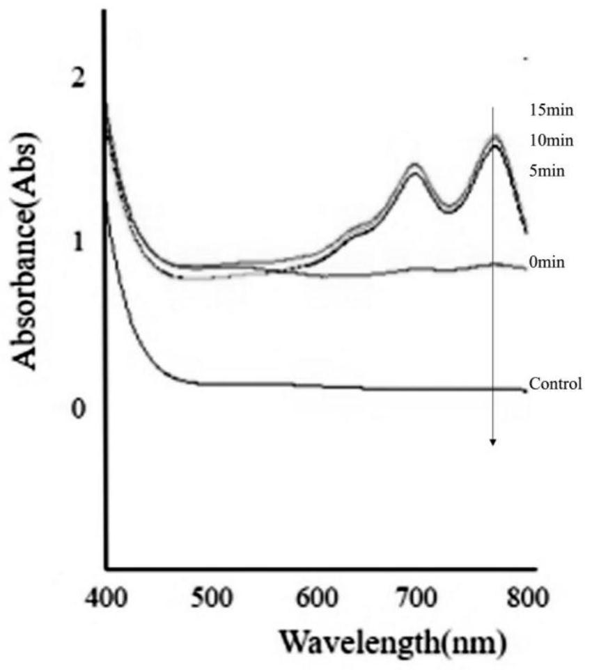 A kind of preparation method of hydrogen sulfide sustained-release gel and its application in the preparation of diabetic skin ulcer treatment medicine