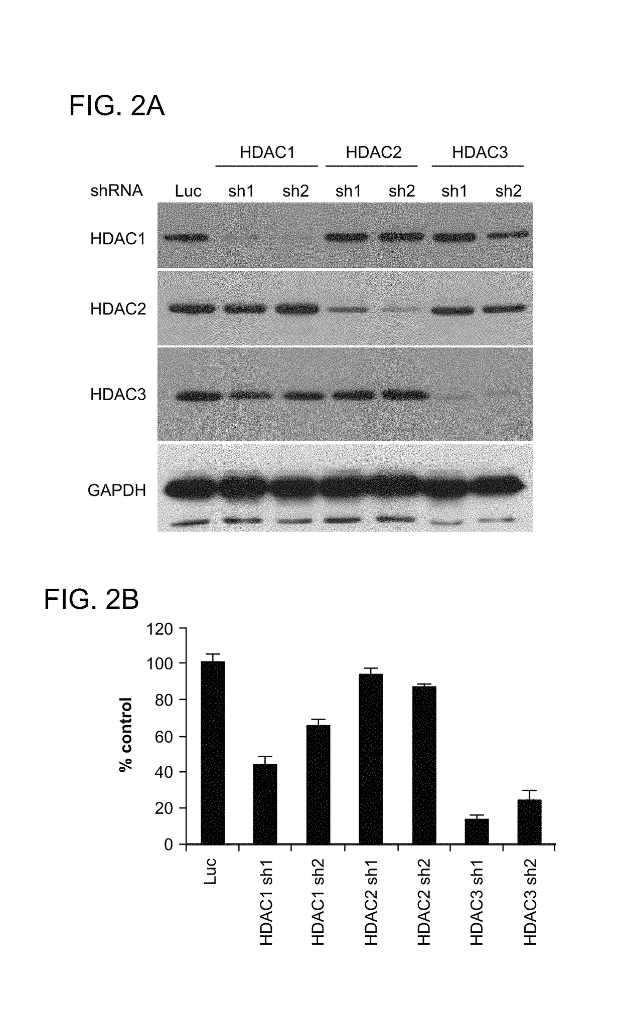 Inhibitors of histone deacetylase