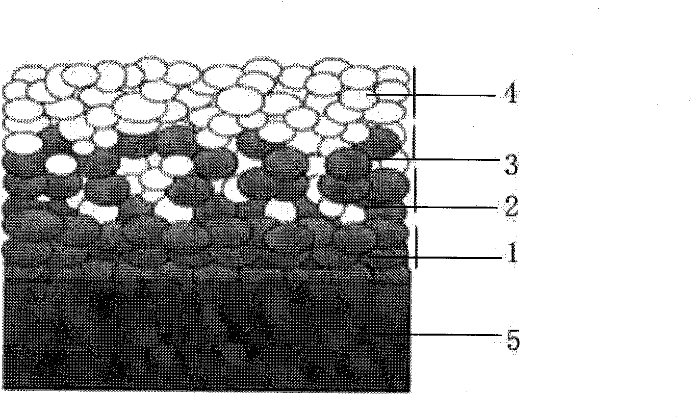 Titanium-hydroxylapatite gradient coating and preparation method and application thereof