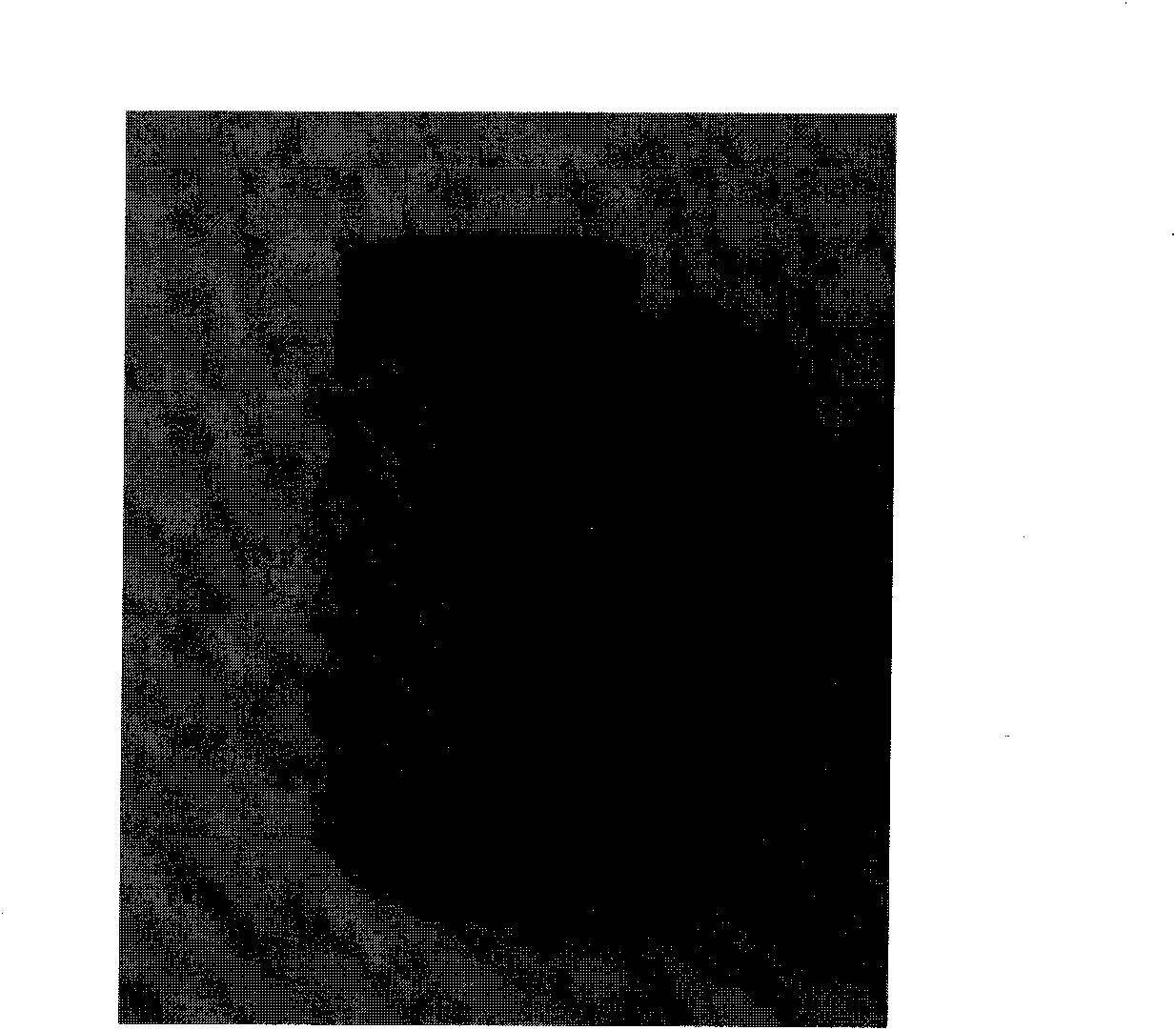 Titanium-hydroxylapatite gradient coating and preparation method and application thereof