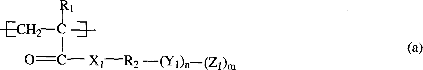 Vinyl polymer and light sensitivity lithographic plate containing said polymer