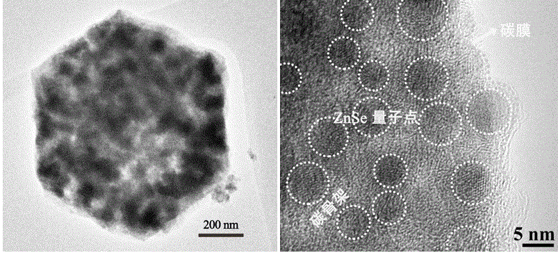 Three-dimensional porous carbon-coated zinc selenide material for lithium ion battery anodes and preparation method of material